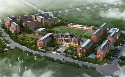 北大培文鶴壁中學膜結(jié)構看臺設計效果圖