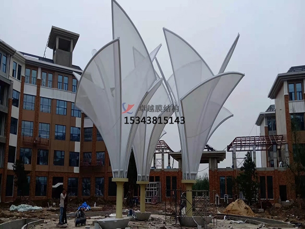 膜結(jié)構(gòu)停車棚<font color='red'>價格</font>差異化原因！